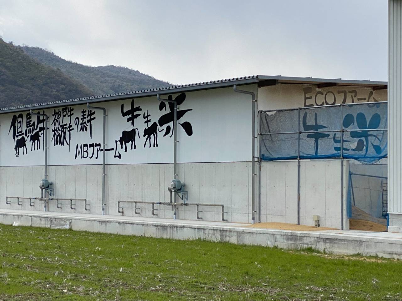 MBファーム