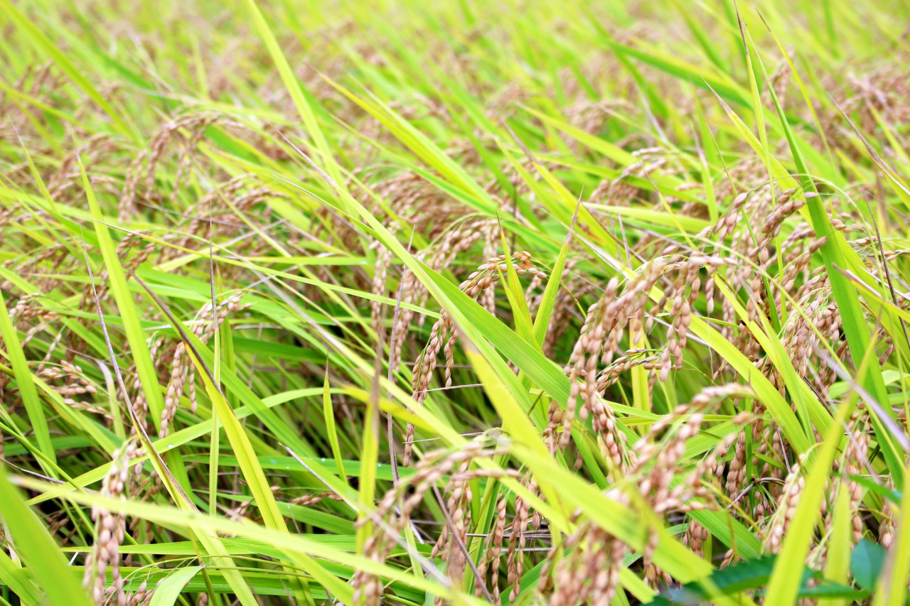 打合せ中の様子